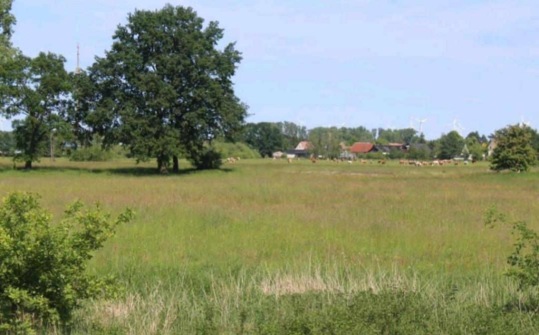 Spreewald Ferienwohnung Noack Lubben Ngoại thất bức ảnh